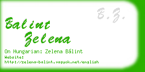 balint zelena business card