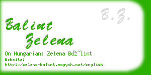 balint zelena business card